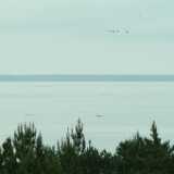 DSCF3019