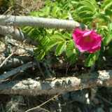 DSCF3041