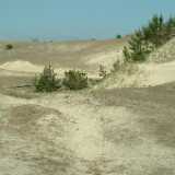 DSCF3061