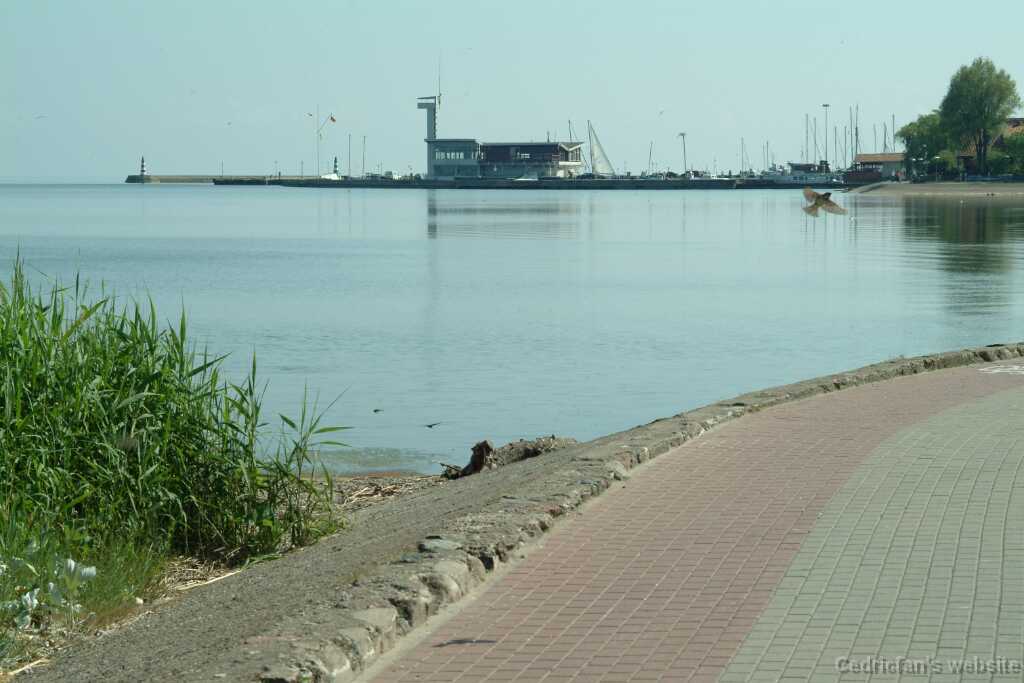 DSCF3107
