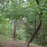 DSCF2976