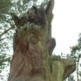 DSCF2981