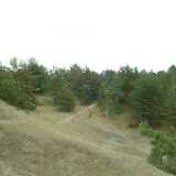 DSCF3018