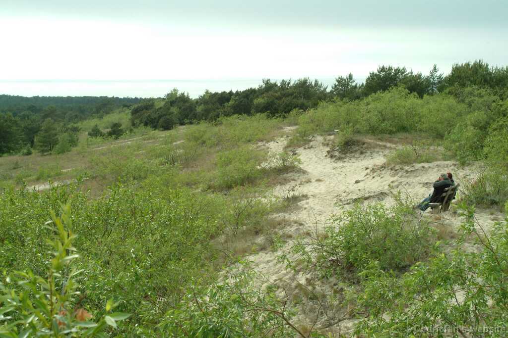 DSCF2913