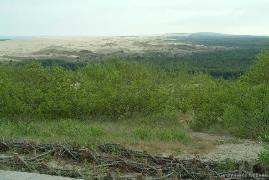 DSCF2954