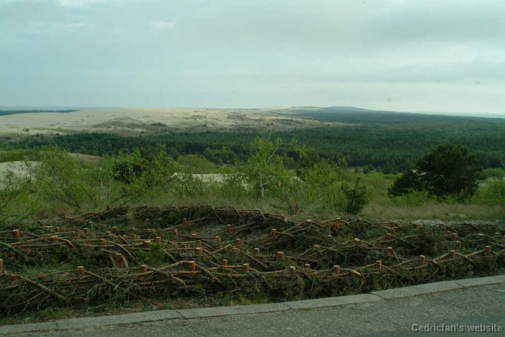 DSCF2957
