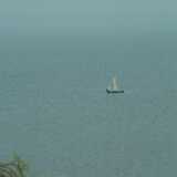 DSCF2910