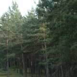 DSCF2926