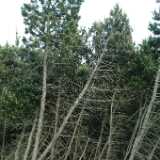 DSCF2928