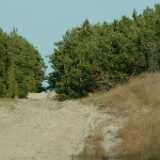 DSCF2930
