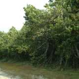 DSCF2932