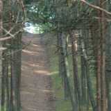 DSCF2938