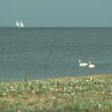 DSCF2945