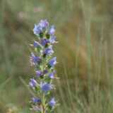 DSCF2959