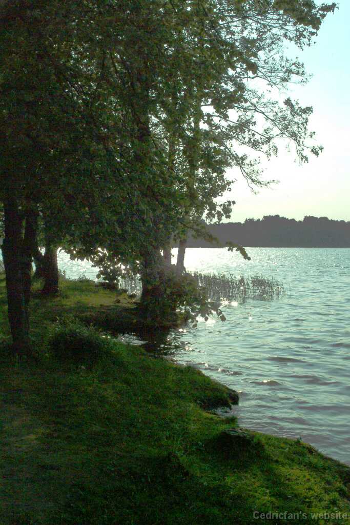 DSCF2766
