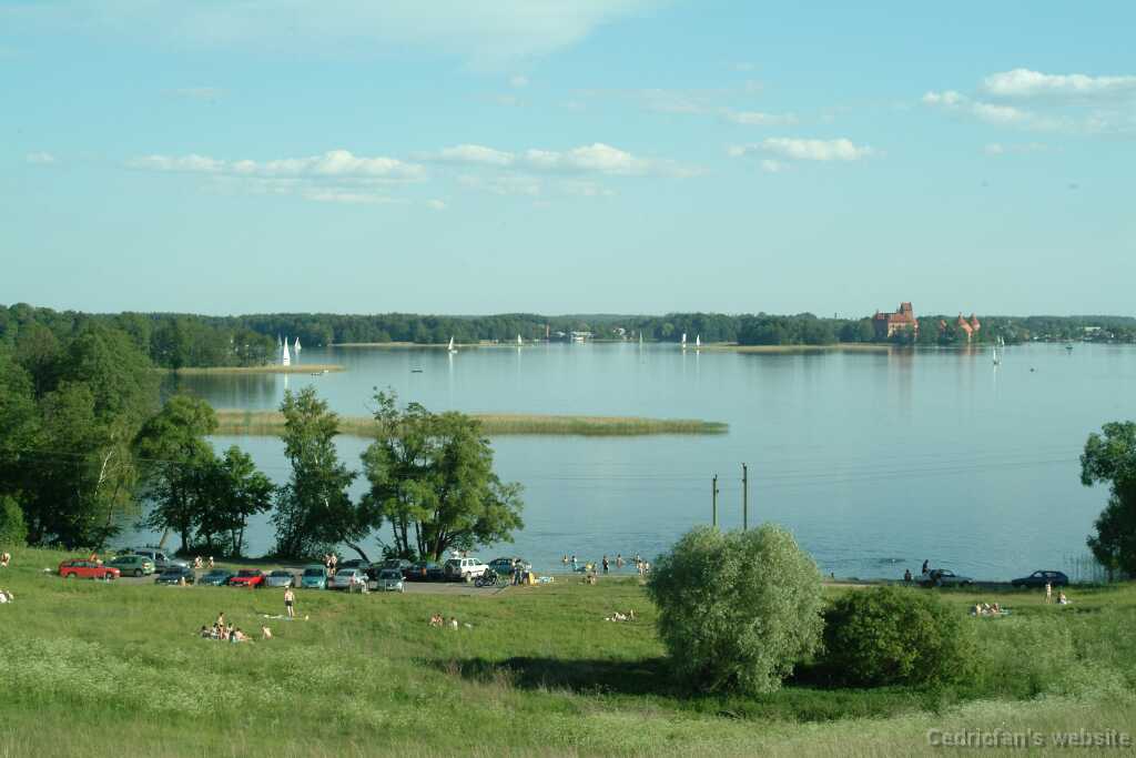DSCF2893