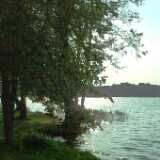 DSCF2766