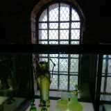 DSCF2741