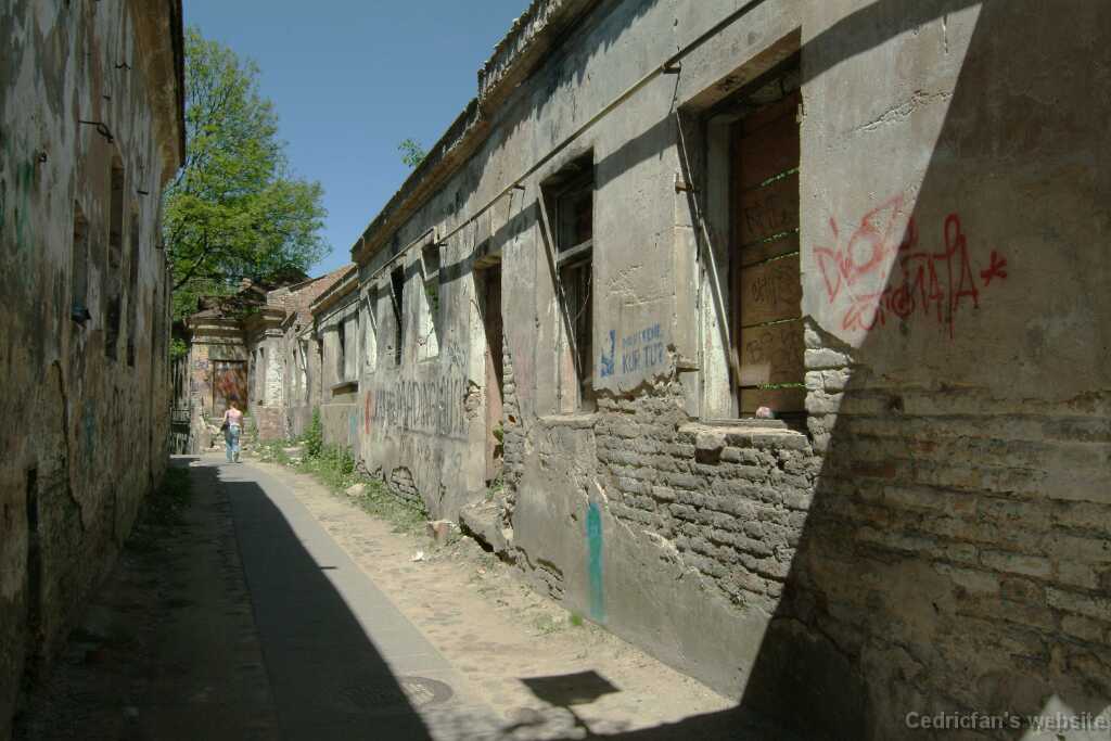 DSCF2876