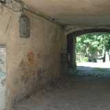 DSCF2874