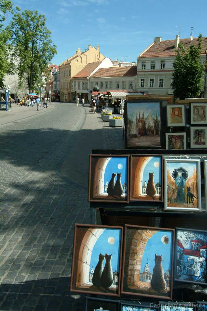 DSCF2859