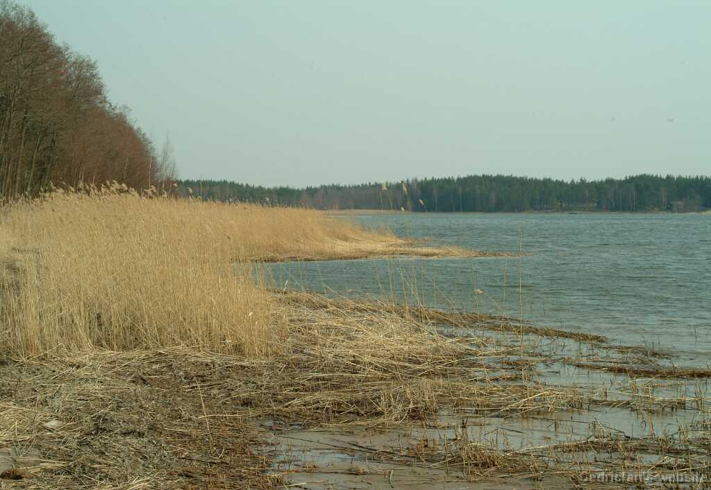 DSCF2004