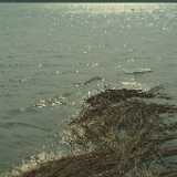 DSCF2014