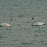 DSCF2042