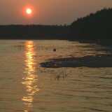 DSCF2072