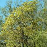 DSCF2378