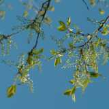 DSCF2380