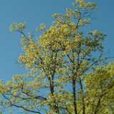 DSCF2388