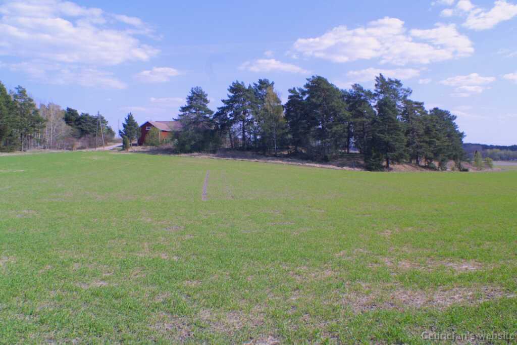 21field