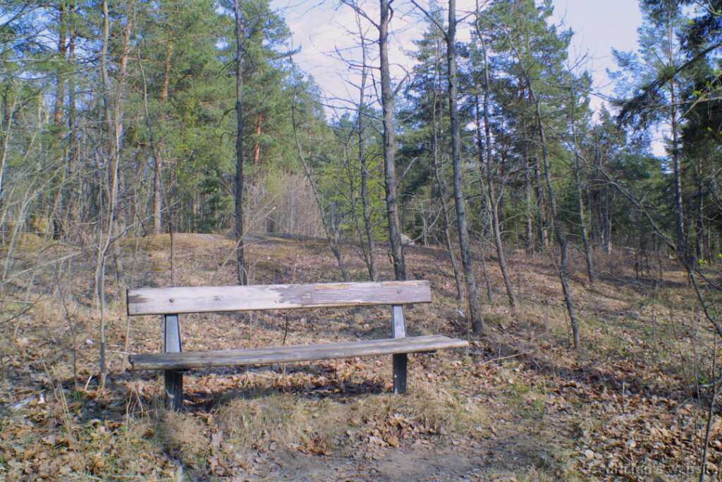51bench