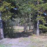 25path