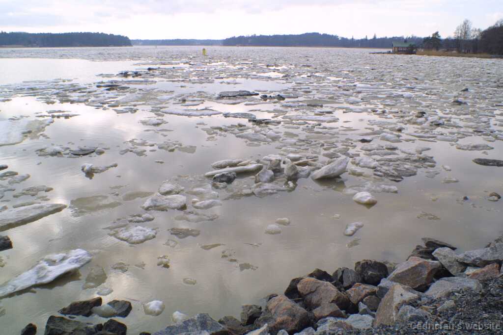 1sea