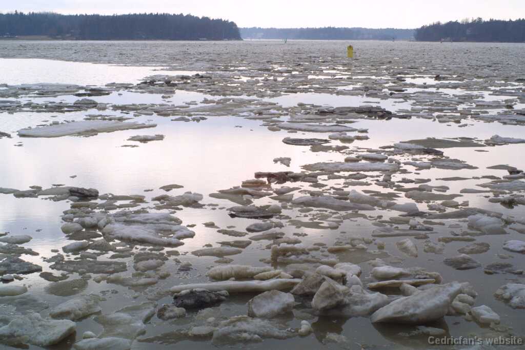 2sea