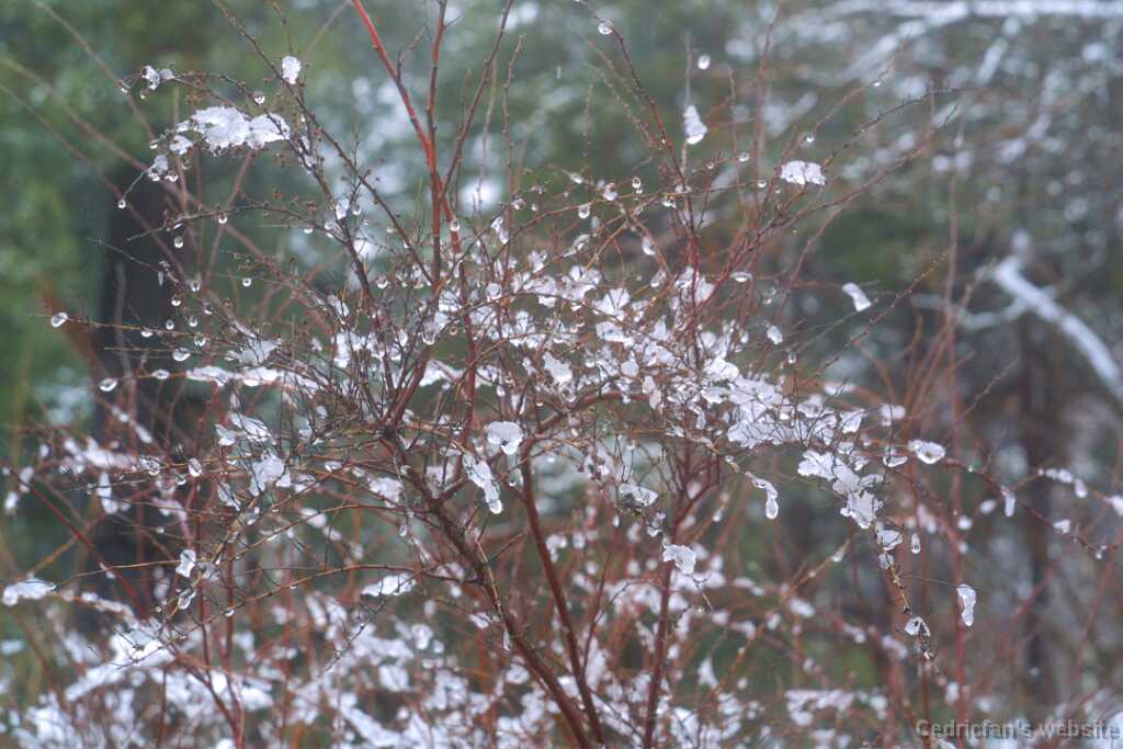 2wetsnow