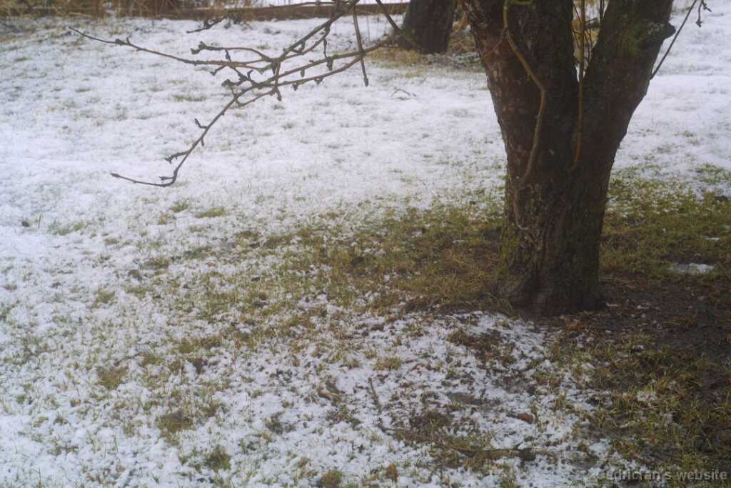4wetsnow