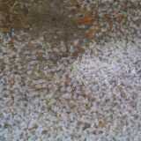 3wetsnow