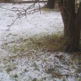 4wetsnow