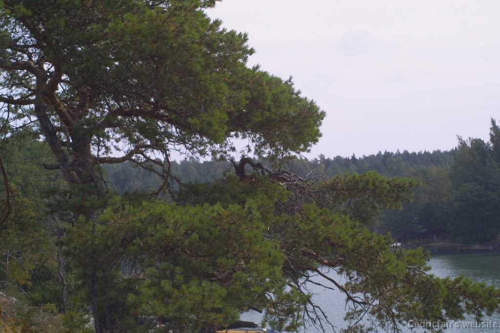 Archipelago28