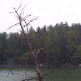 Archipelago21
