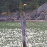 Archipelago27
