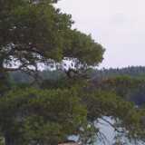 Archipelago28
