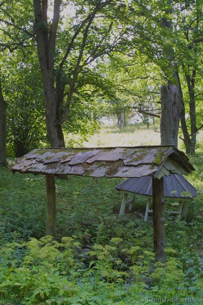 Brinkhall06