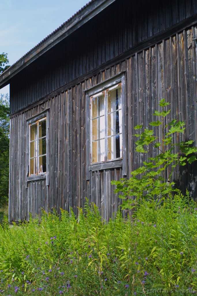 Brinkhall41