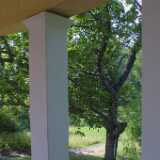 Brinkhall14