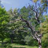 Brinkhall22