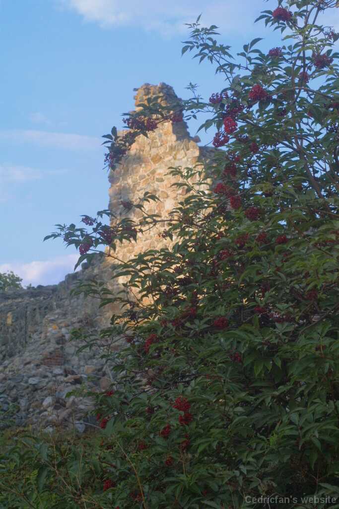 Castle07